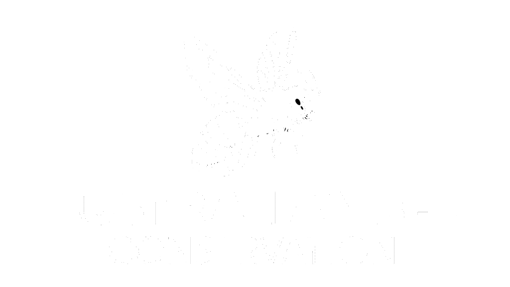 Australian Bee Footer Site Logo
